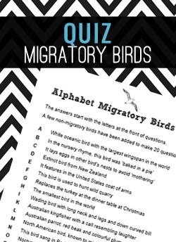 Alphabet Migratory Birds Quiz