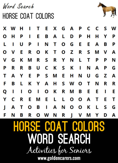 Horse Colours Word Search