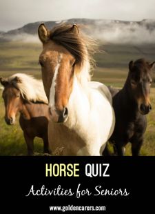 Horse Quiz