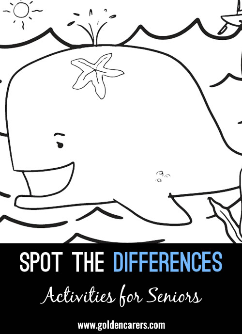 Spot the Differences - Whale