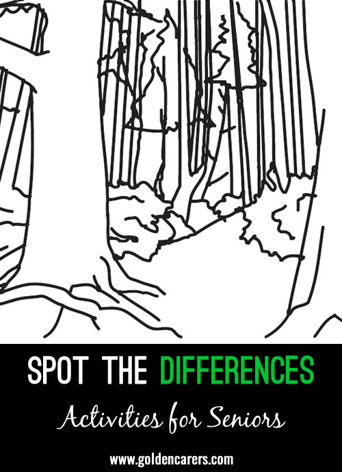 Spot the Differences - Forest