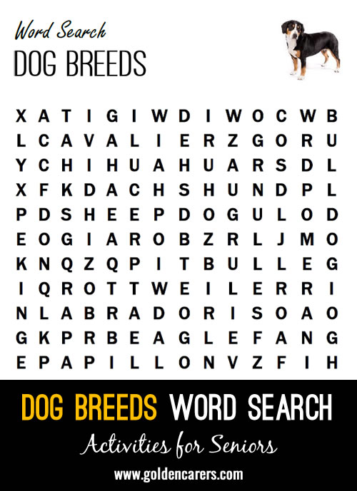 Dog Breeds Word Search