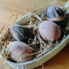 Silk-dyed Easter Eggs