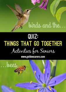 Things that Go Together Quiz #3