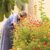 The Importance of Daily Living Activities for the Elderly