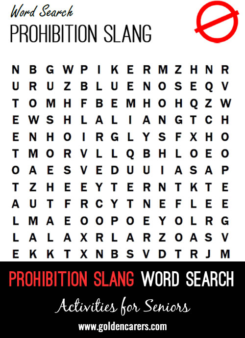 Prohibition Slang Word Search