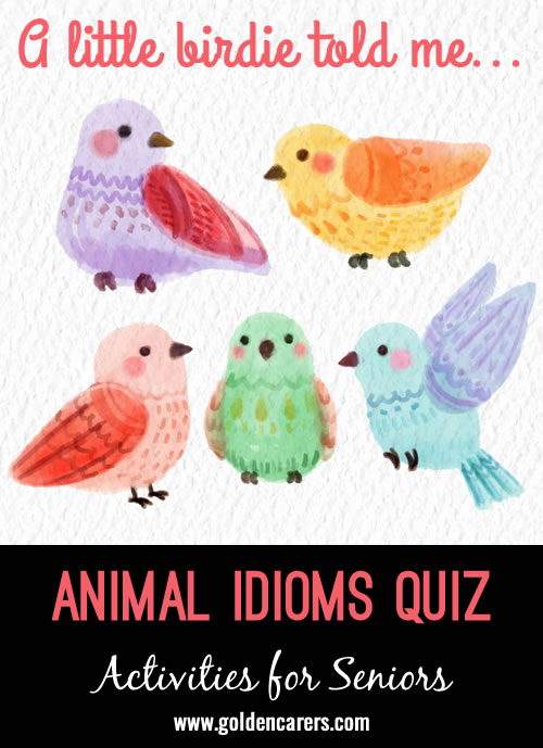 Animal Idioms Quiz