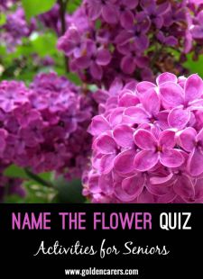 Name the Flowers Quiz #1