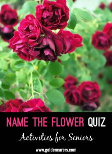 Name The Flowers Quiz #2