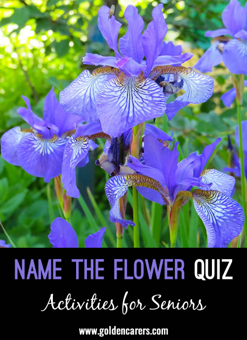 Name the Flowers Quiz #3