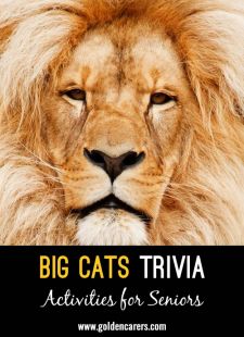 Big Cats of the World Trivia