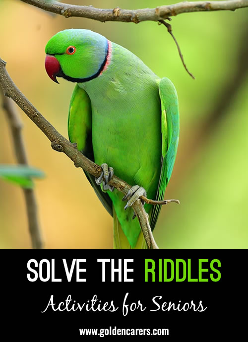 Solve the Riddles