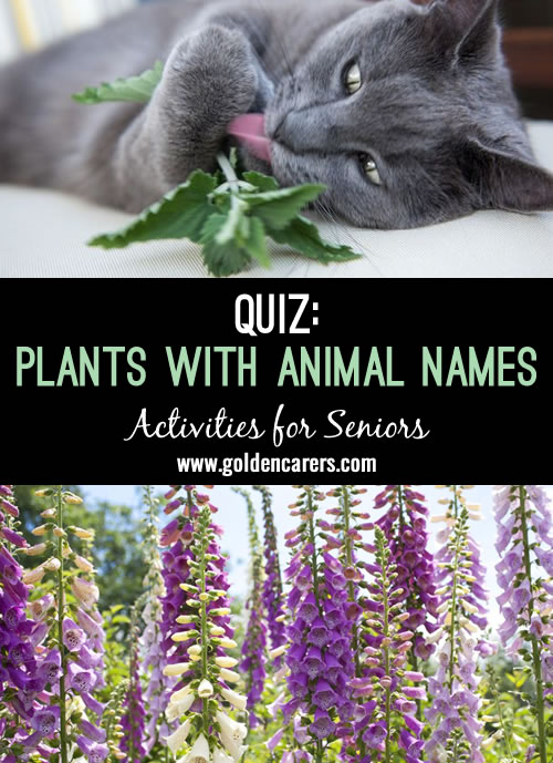 Plants with Animal Names Quiz