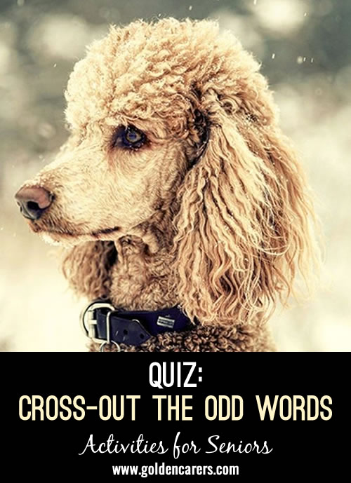 Cross-out The Odd Words #2