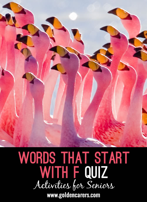 Words starting with F Quiz