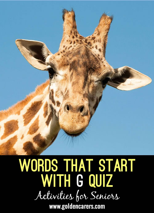 Words starting with G Quiz #2