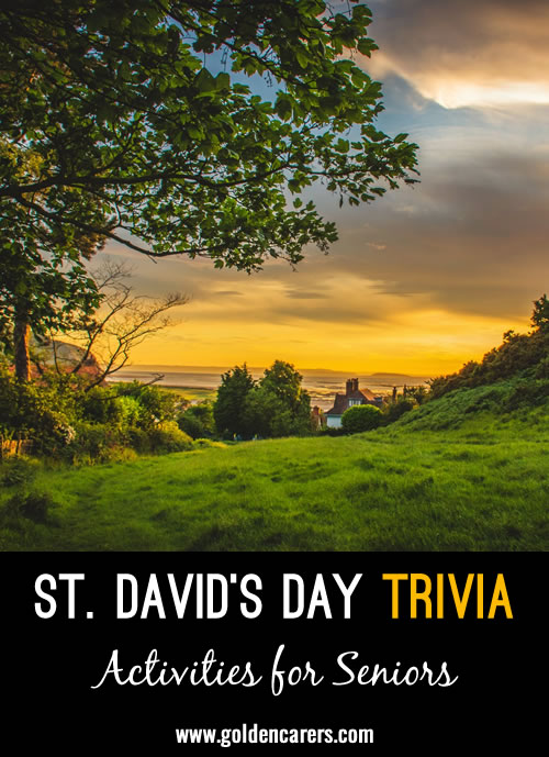 Saint David Facts & Trivia