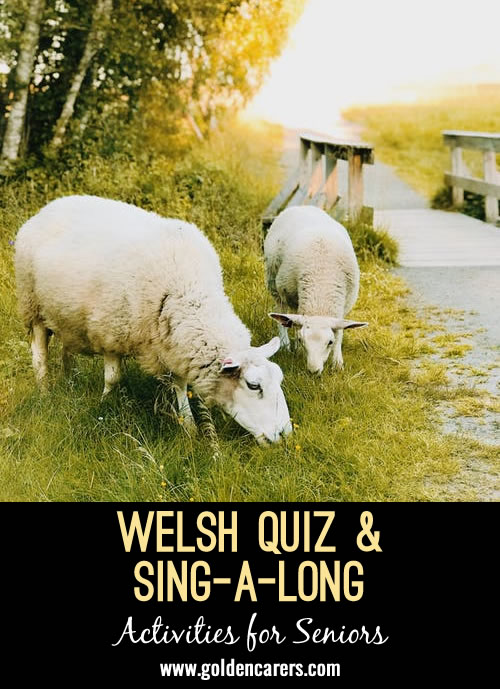 Welsh Quiz and Sing-a-long