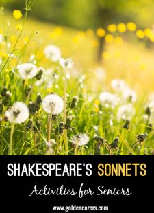 Shakespeare's Sonnets