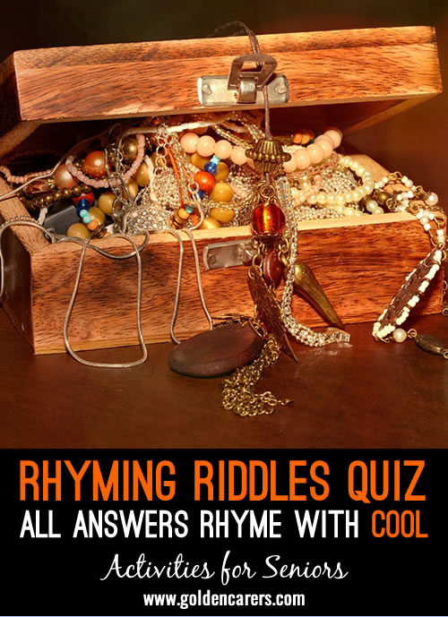 Rhyming Riddles #13