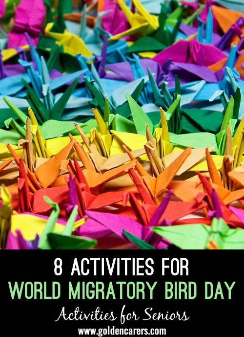 8 Activities for World Migratory Bird Day