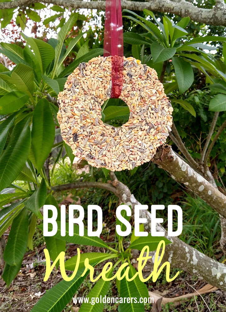 Bird Seed Wreath