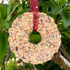 Bird Seed Wreath