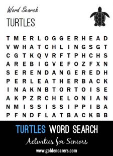 Turtles Word Search