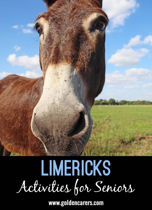 Limericks