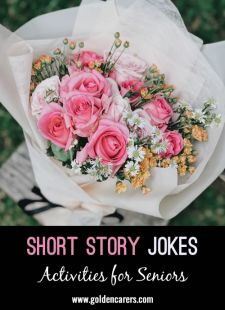 Short Story Jokes #3