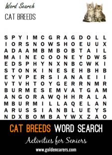 Cat Breeds Word Search