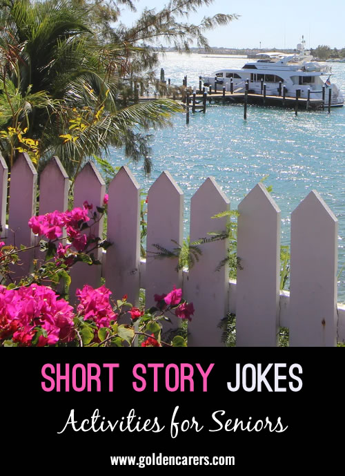 Short Story Jokes #5