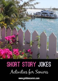 Short Story Jokes #5