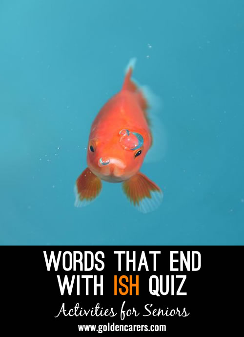 Words ending with ISH Quiz