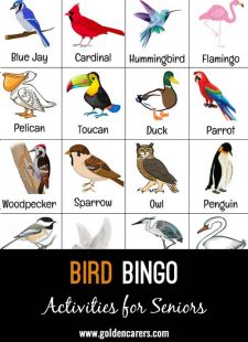 Bird Bingo