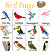 Bird Bingo