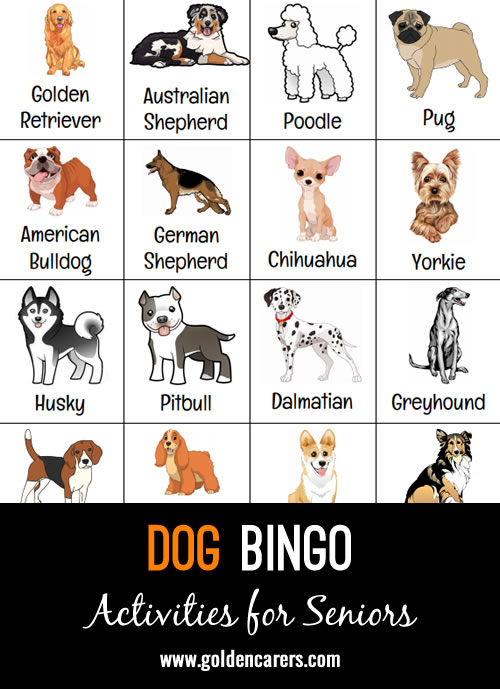 Dog Bingo