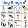 Dog Bingo