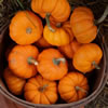 Pumpkin Decorating Without Carving