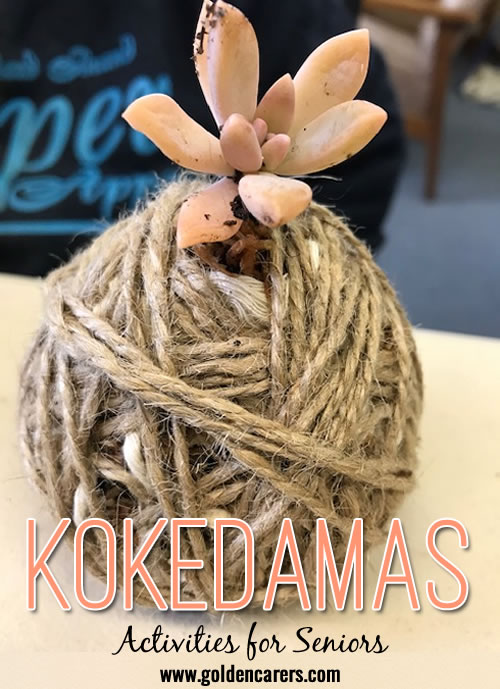 Kokedamas