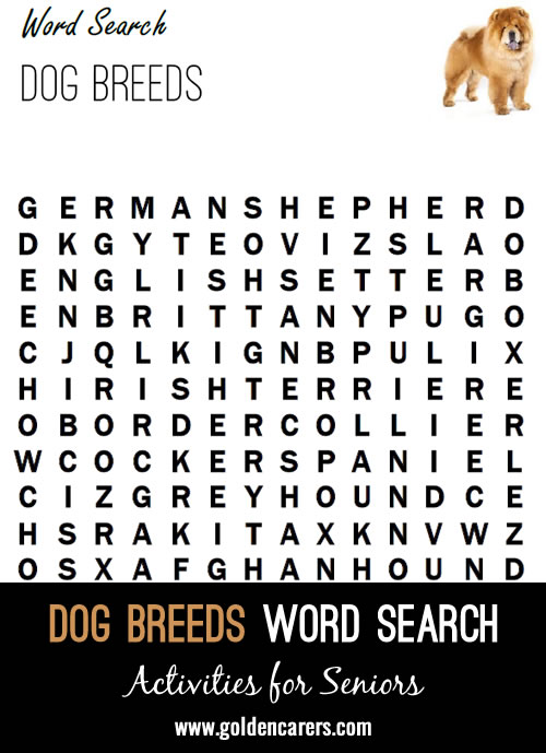 Dog Breeds Word Search