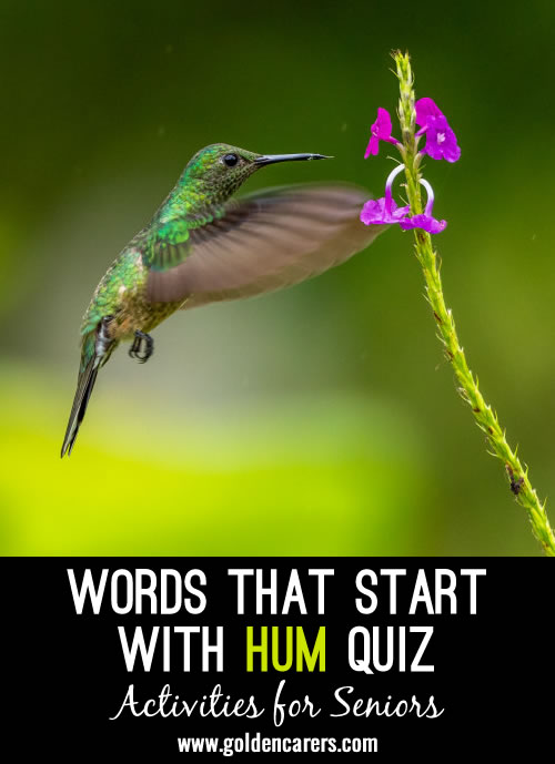 Words starting with HUM Quiz