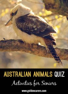 Australian Animals Quiz