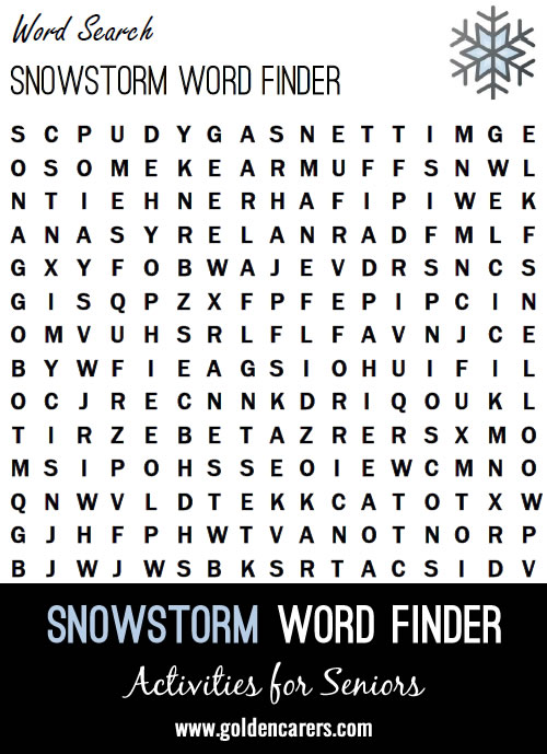 Snowstorm Word Finder