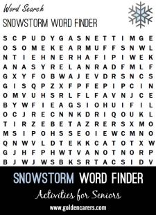 Snowstorm Word Finder