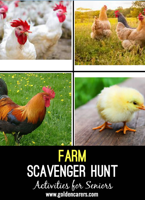 Farm scavenger hunt