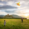 Let's Fly a Kite Social