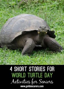 4 Short Stories for World Turtle Day