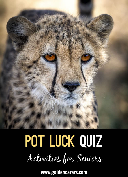 Pot Luck Quiz 8