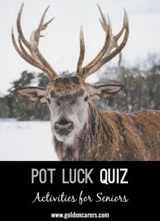 Pot Luck Quiz 11